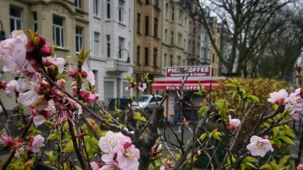 IMG_20200302_090530-02