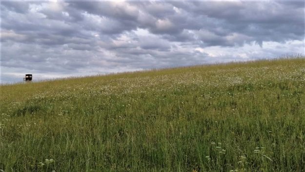 IMG_20200603_075205_155