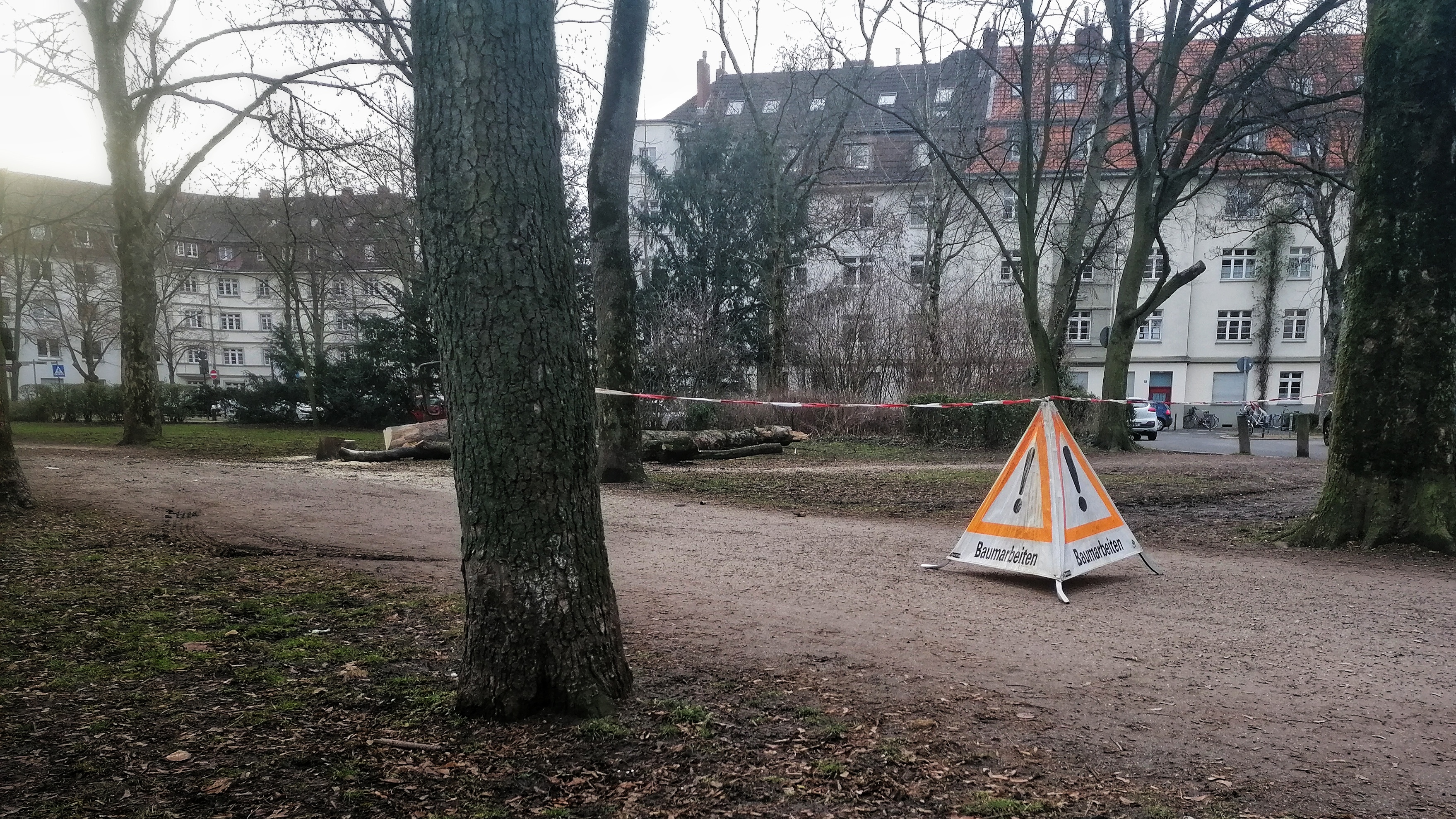 IMG_20210218_085640-01