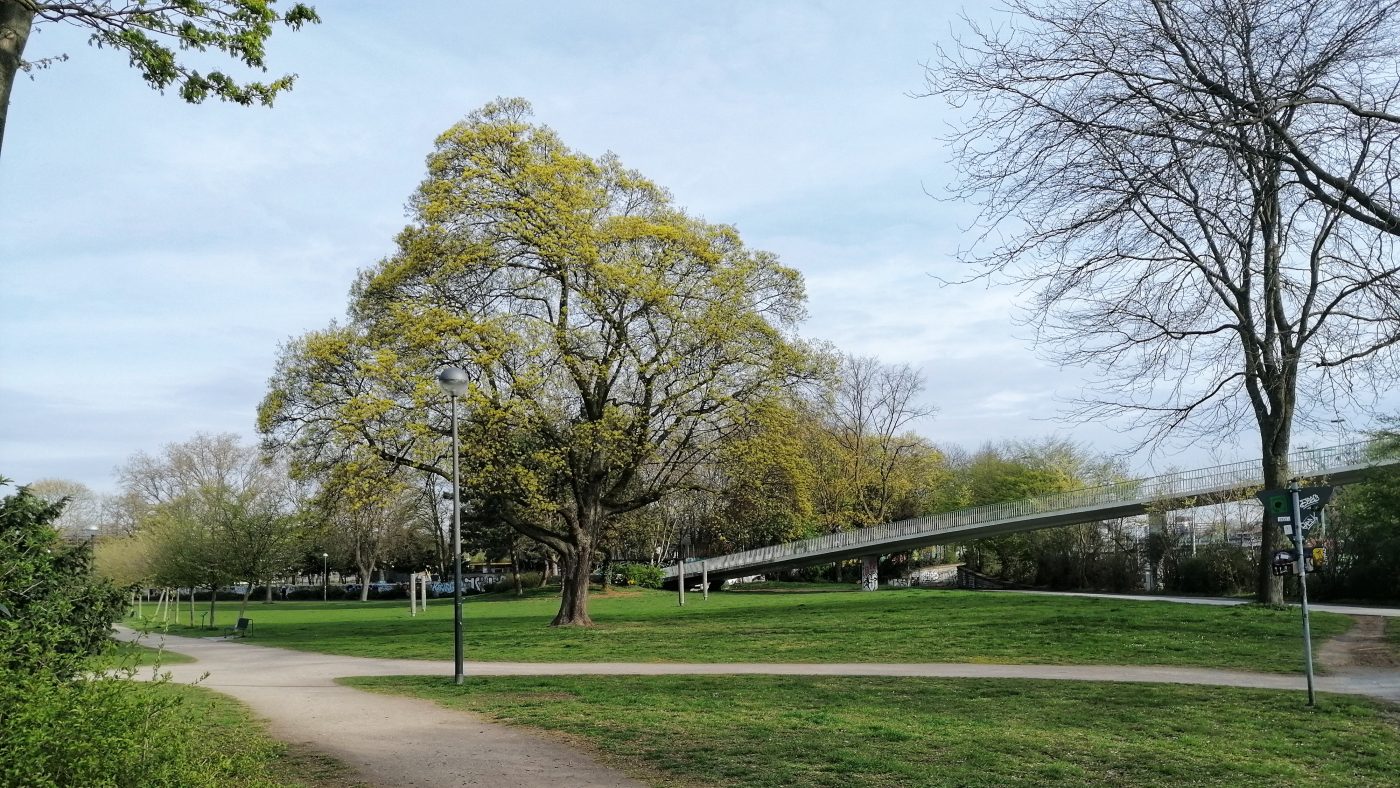 IMG_20210409_091216-01