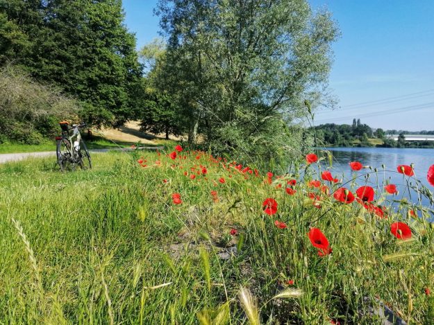 Fahrrad im Mohn Fahrrad im Mohn