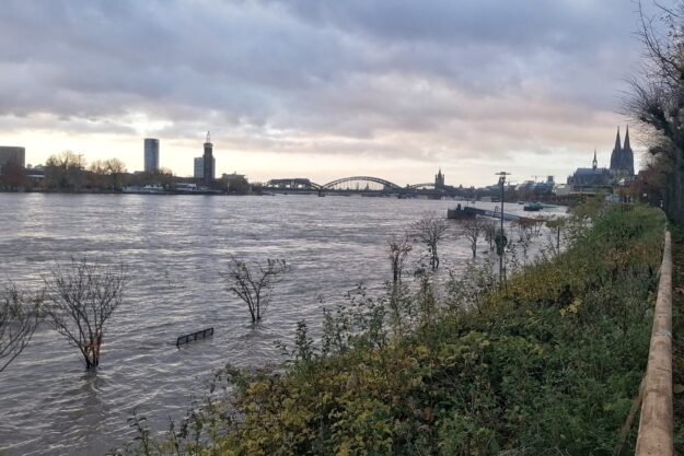 hochwasser in köln