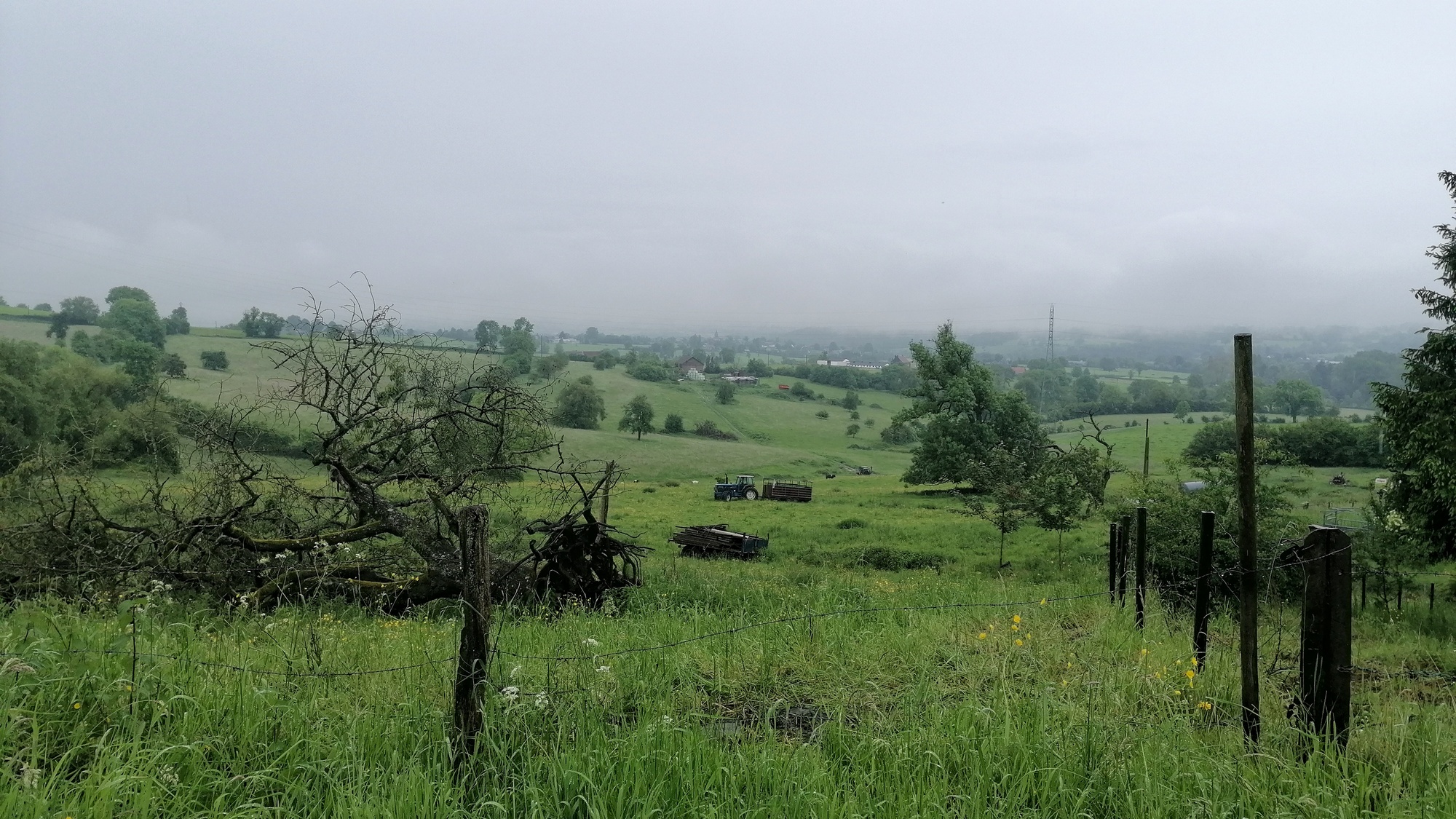 herver land regen und nebel