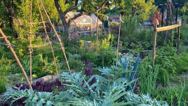 bad kleingarten 2025