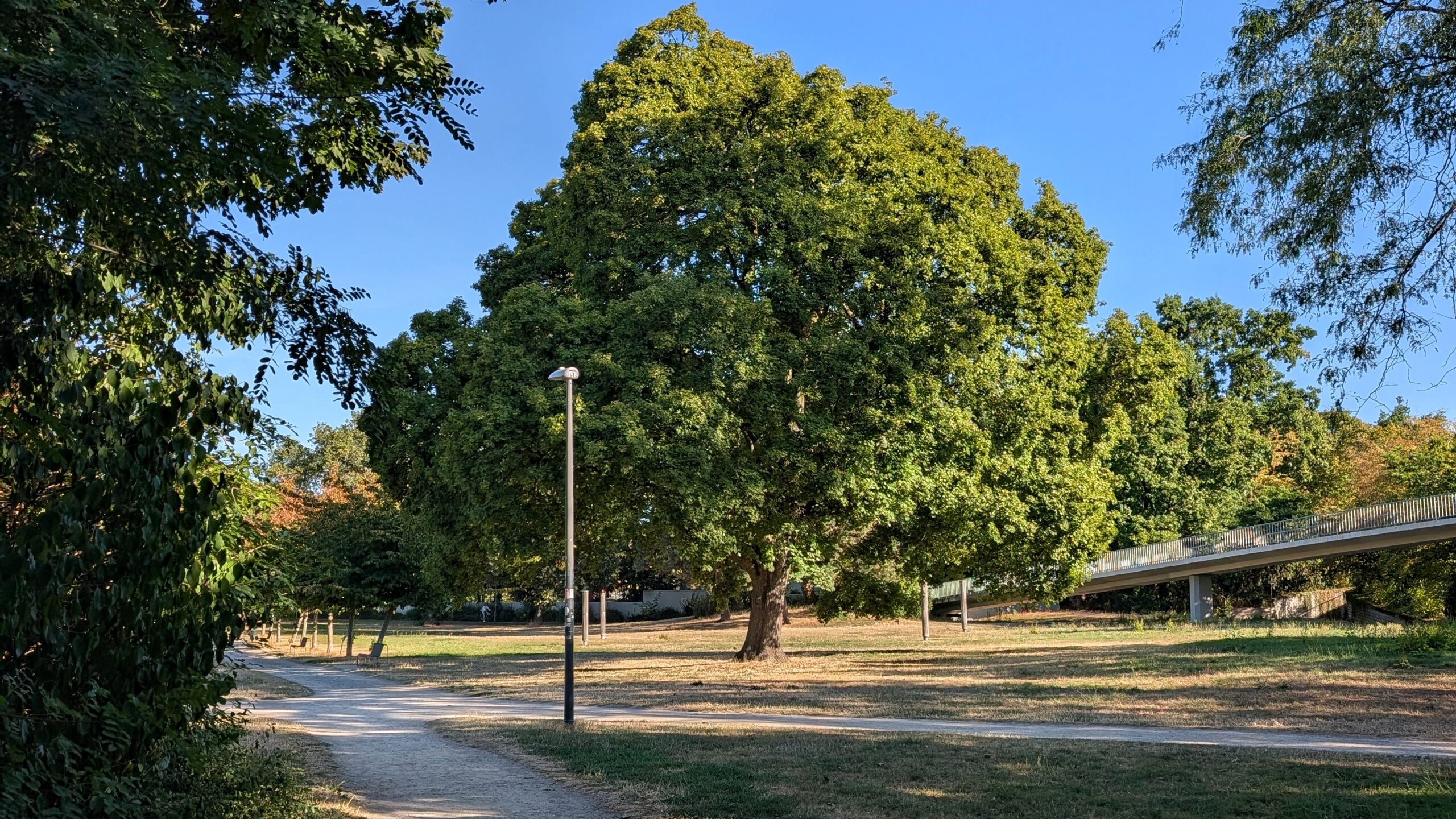 referenzbaum
